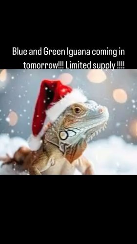 Video post from njexoticpets.
