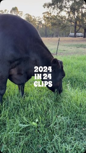 Video post from the_station_hunter_valley.