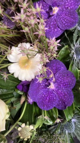 Video post from dellemannbloemen.