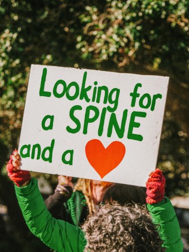 Carousel post from nzgreenparty.