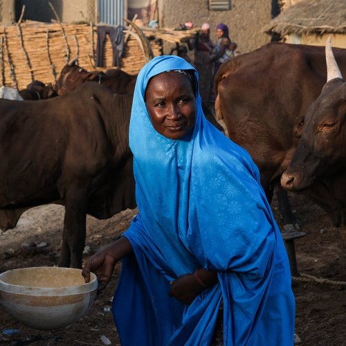 Photo post from unops_official.