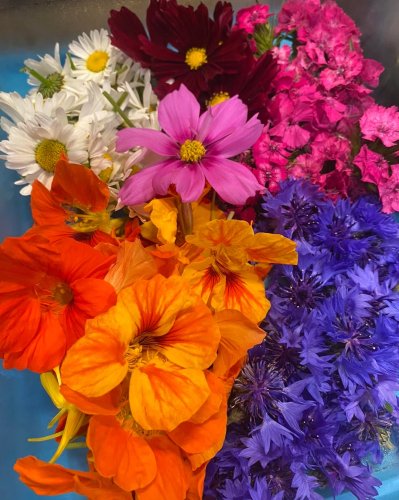 Carousel post from miditreizepontarlier.