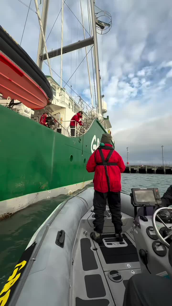 Video post from chloe.swarbrick.