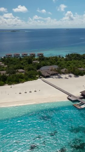 Video post from nokumaldives.