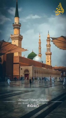 Video post from nighathashmi.