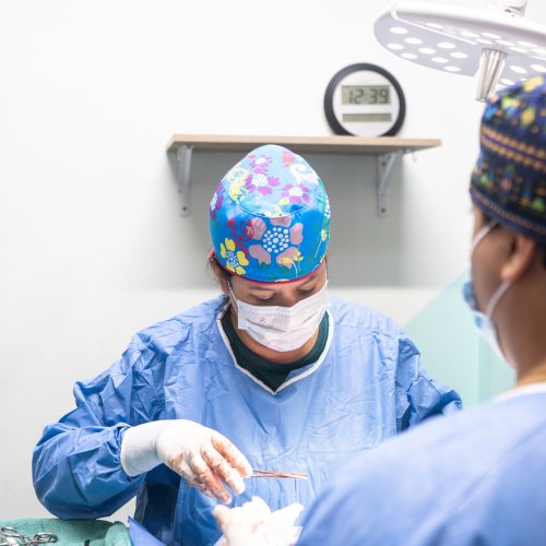 Photo post from medicalpettj.