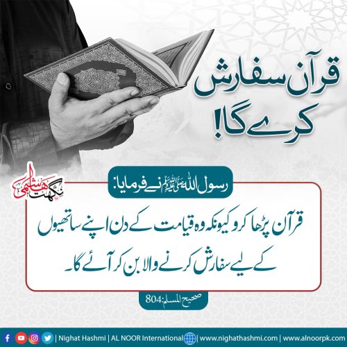 Photo post from nighathashmi.