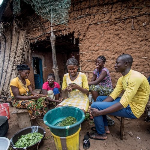 Photo post from unops_official.