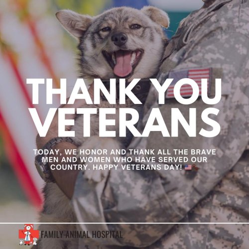 Photo post from familyanimalhospitalcm.