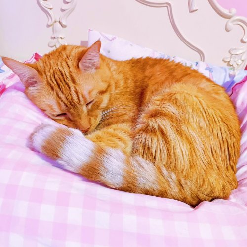 Photo post from margaritabloom.