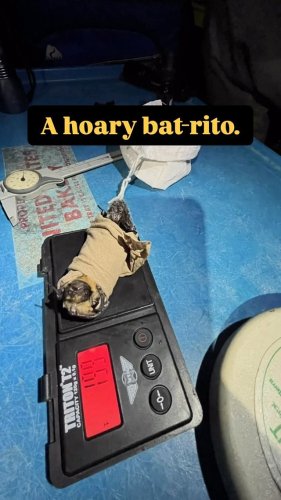Video post from usfws.