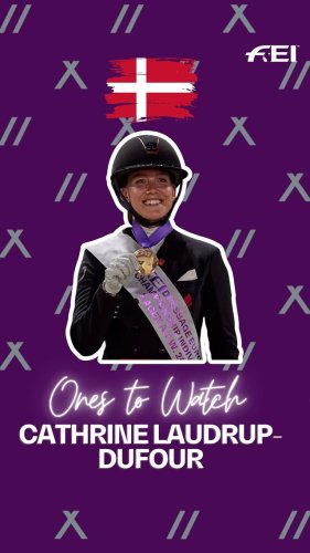 Video post from fei_global.