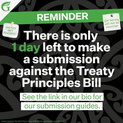 Photo post from nzgreenparty.