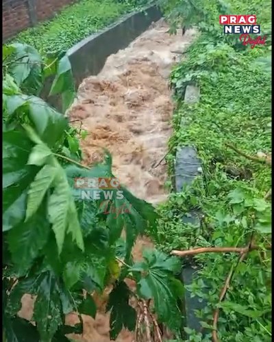 Video post from pragnewsofficial.