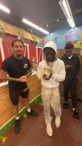 Video post from njexoticpets.