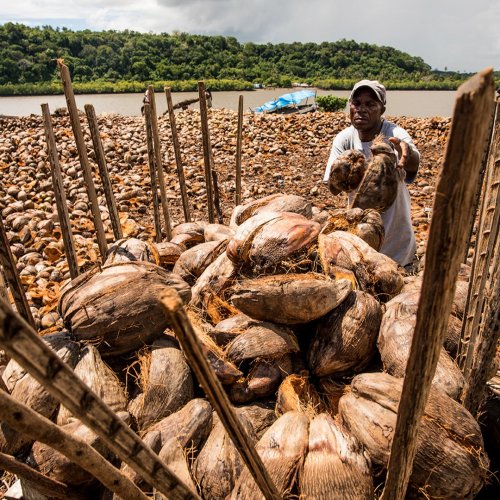 Photo post from unops_official.