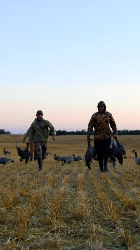 Video post from northernskiesoutfitters.