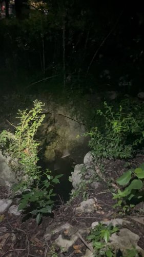 Video post from __brindle__.