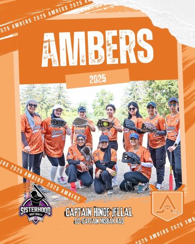 Carousel post from sisterhoodsoftball.
