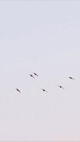 Video post from northernskiesoutfitters.