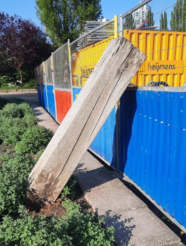 Carousel post from mlkjr50.