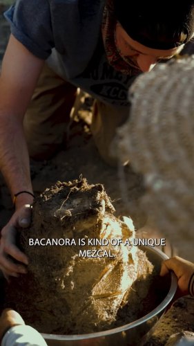 Video post from visittucson.