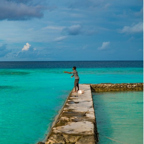 Photo post from unops_official.