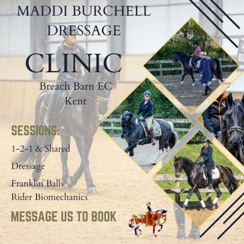 Photo post from mbddressage.