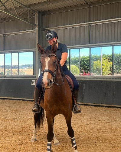 Photo post from barralongequine.