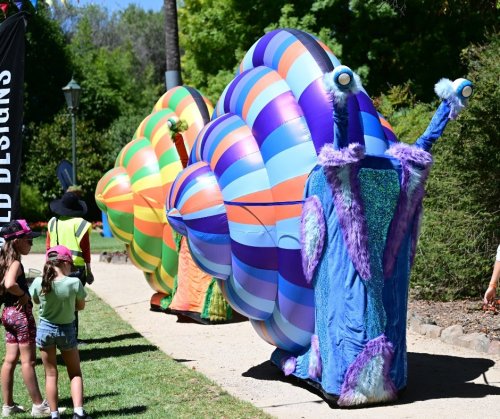 Carousel post from alburycity.