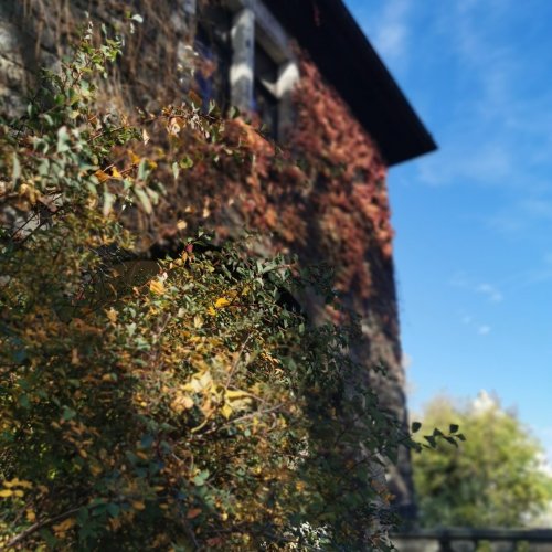 Photo post from visit.magdeburg.