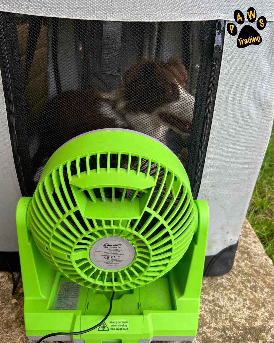 Photo post from pawstrading.