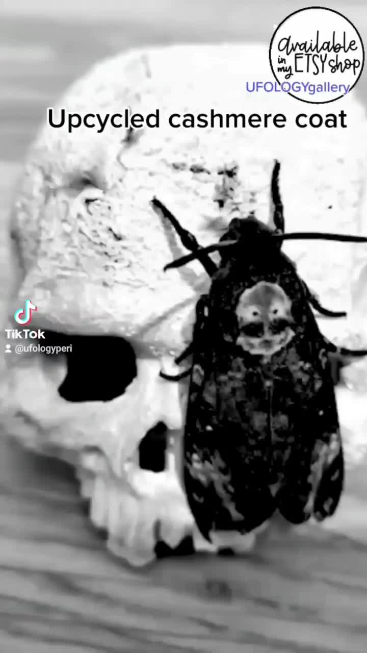 Video post from peri.renata.glinkowska.