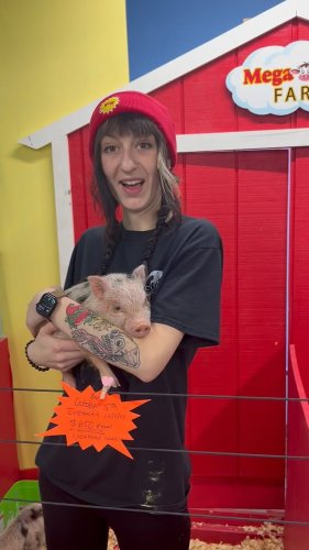 Video post from njexoticpets.