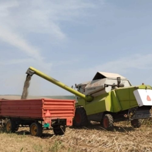 Carousel post from sremskatelevizija.