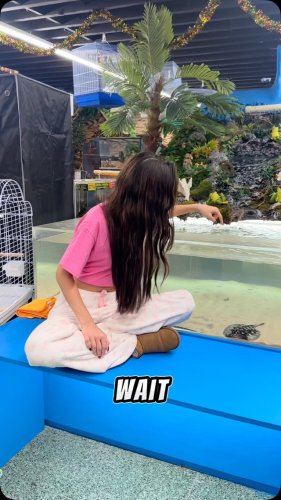 Video post from njexoticpets.