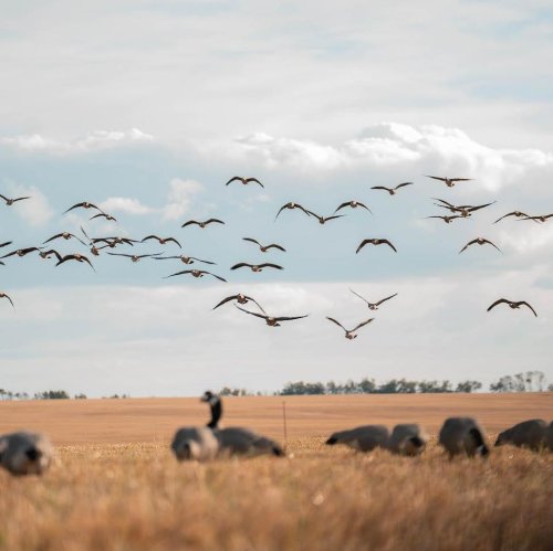 Photo post from northernskiesoutfitters.