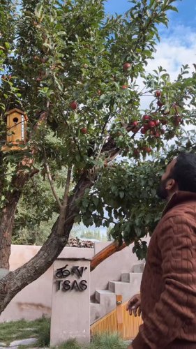 Video post from imahimaagarwal.