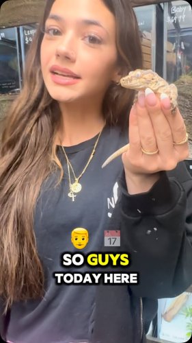 Video post from njexoticpets.