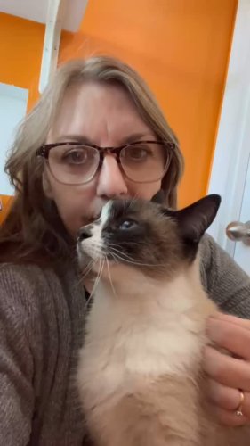 Video post from cats.cradle.winnipeg.
