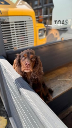 Video post from toast_flyford.