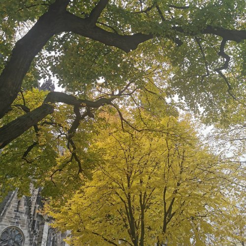 Photo post from visit.magdeburg.