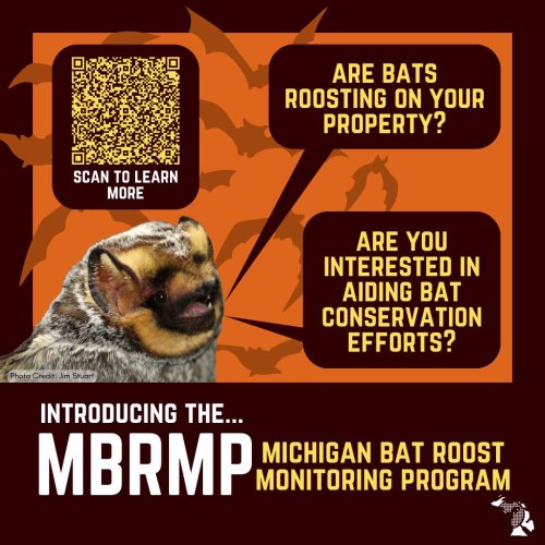 Photo post from mnfi.msue.