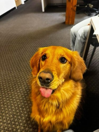 Carousel post from ls2group_.