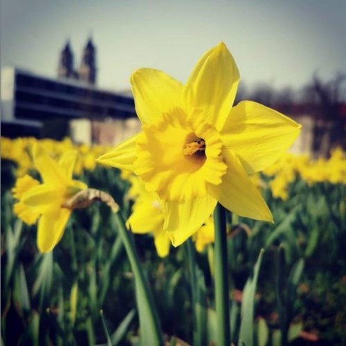 Photo post from visit.magdeburg.