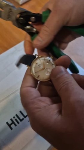 Video post from nemagnit.company.