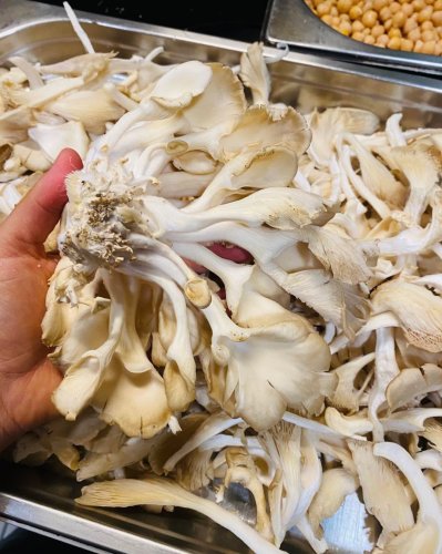 Photo post from miditreizepontarlier.