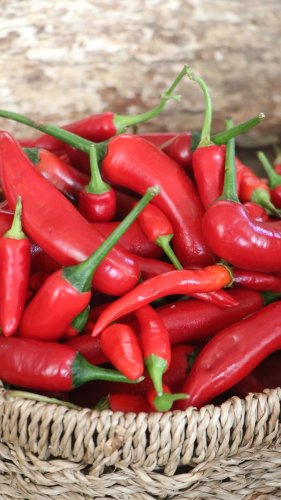 Video post from currumbinvalleyharvest.