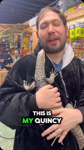 Video post from njexoticpets.