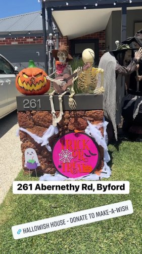 Video post from k9playtimedoggydaycare.